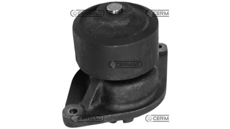 VODNA ČRPALKA OEM - 87803065