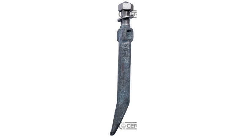 DENTE ERPICE