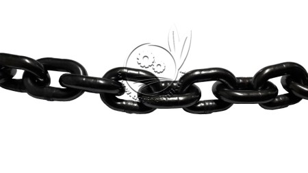 VERIGA GOZDARSKA 7/2000 