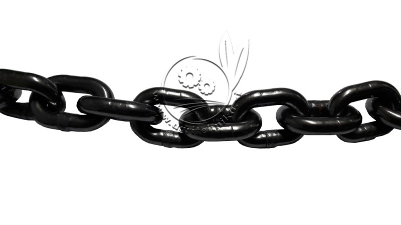 VERIGA GOZDARSKA 7/2000